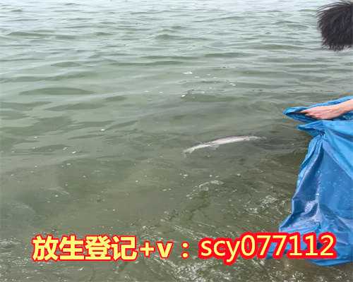 京娘湖放生，济南放生协会大明湖禁止投放食人鱼